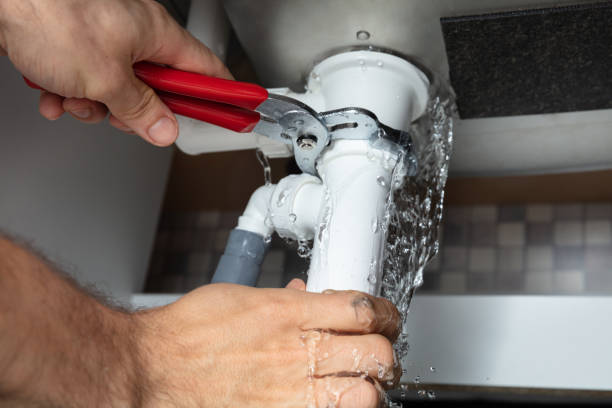 Best Basement water damage restoration  in White City, FL