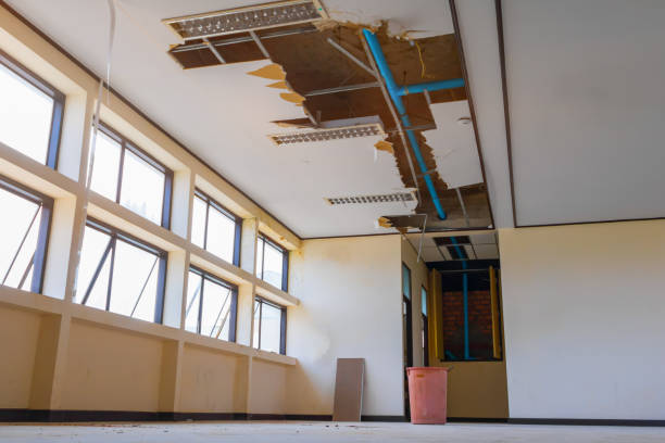 Best Water damage restoration near me  in White City, FL