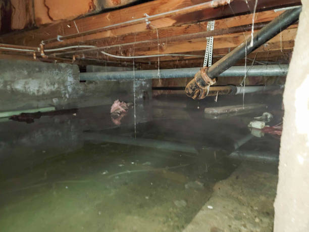 Best Fire Damage Restoration  in White City, FL