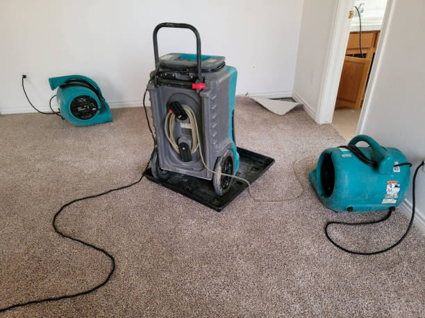 Best Local water damage restoration  in White City, FL