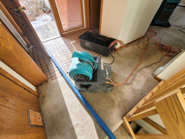 Best Flooded house restoration  in White City, FL
