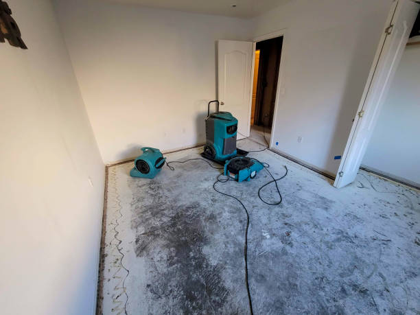 Water damage restoration process in White City, FL
