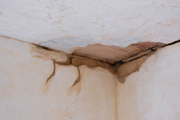 Trusted White City, FL Water damage restoration Experts