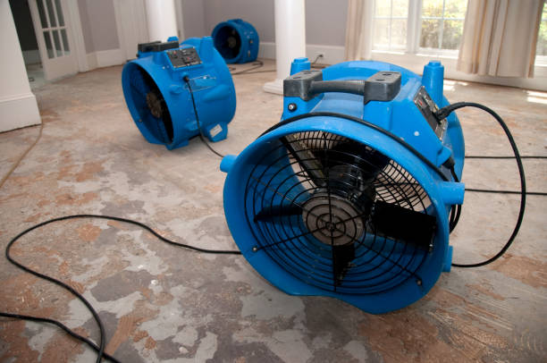 Fire Damage Restoration in White City, FL