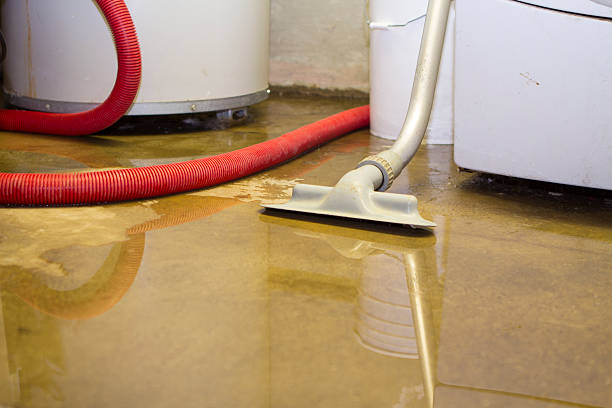 Best Ceiling water damage repair  in White City, FL