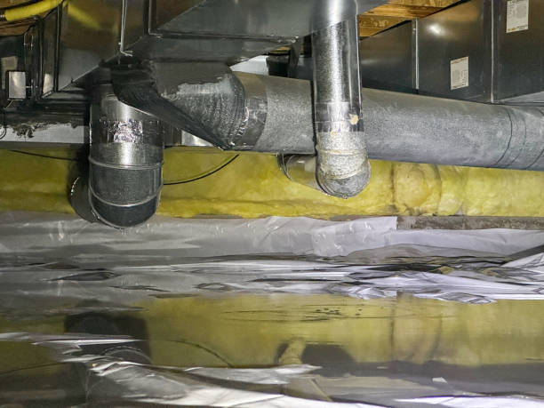 Best Ceiling water damage repair  in White City, FL